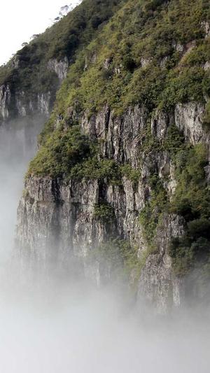 网站站建设截图3