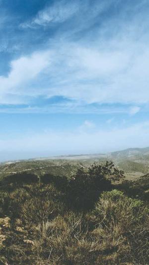 SEO工具源码截图2