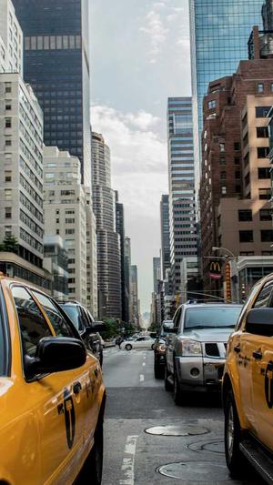 网排名工具seo截图1