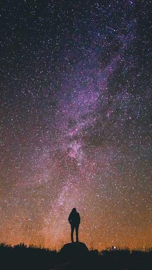 站长超级蜘蛛池截图3