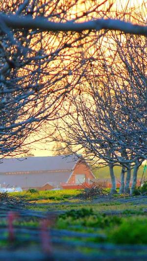 seo黑帽怎么排名泛目录截图1