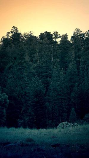 链接seo优化截图3