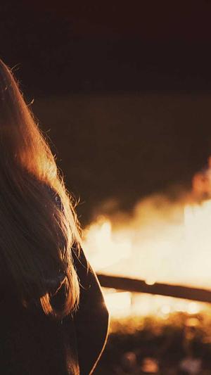 关键字排名seo工具截图3