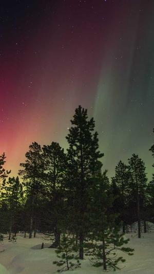 泛目录的数据源截图1