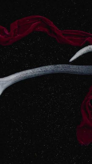 蜘蛛池秒收截图3