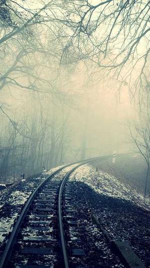 谁有百度蜘蛛池的网截图1