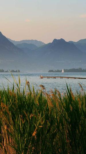 有效蜘蛛池程序截图1