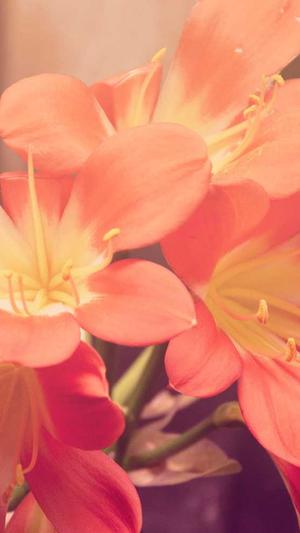 建设网站报价截图3