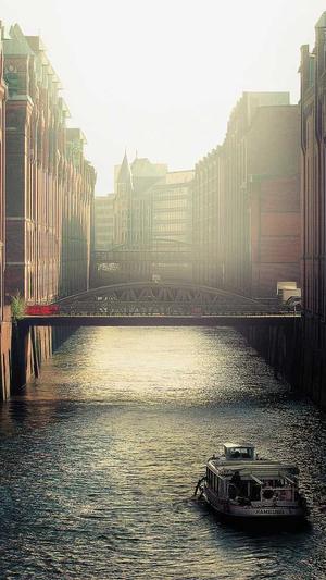 蜘蛛池的蜘蛛蛋截图5