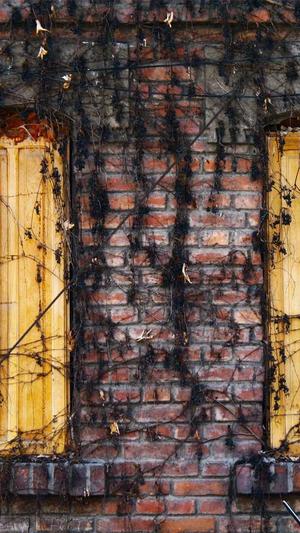 小旋风泛目录截图2