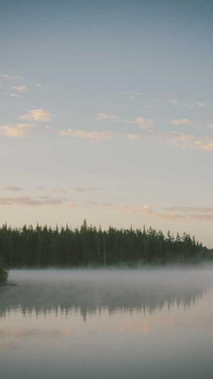 头条蜘蛛池租用选哪家截图1