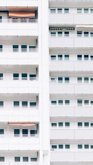 蜘蛛池高级版截图1