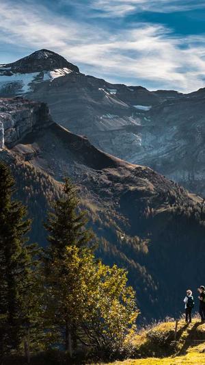 seo关键字优化工具截图5