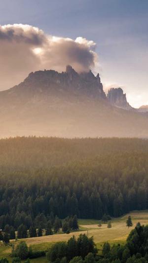 专业网站优化seo截图2