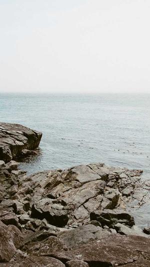 护肤品网站建设截图5