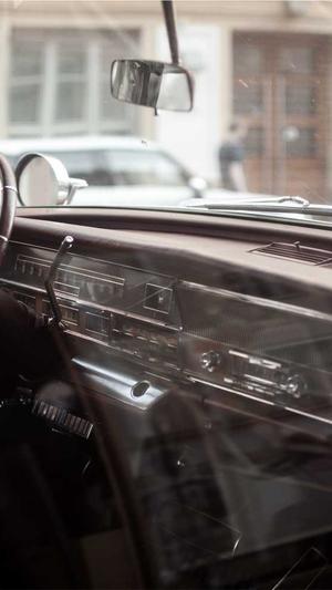 枫林seo工具截图5