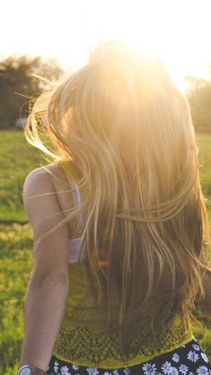 seo网站优化工具截图1