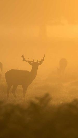 搜索留痕蜘蛛池截图2