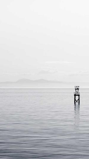 辉煌电商seo截图1