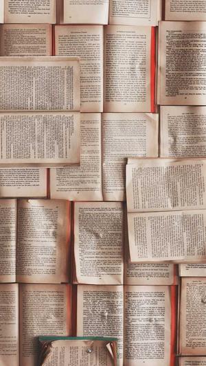 泛目录好还是外推好截图5