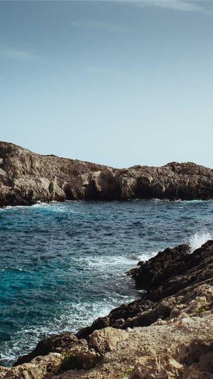 seo日志分析工具截图2