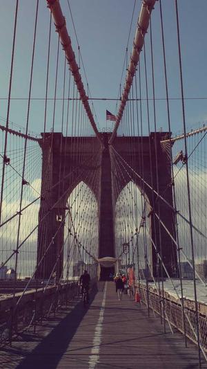 蜘蛛池代码全志zjkwlgs截图3