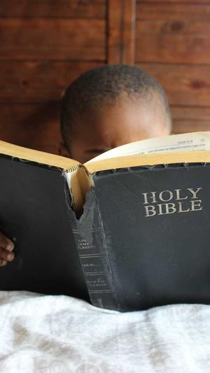 常用的seo查询工具截图2