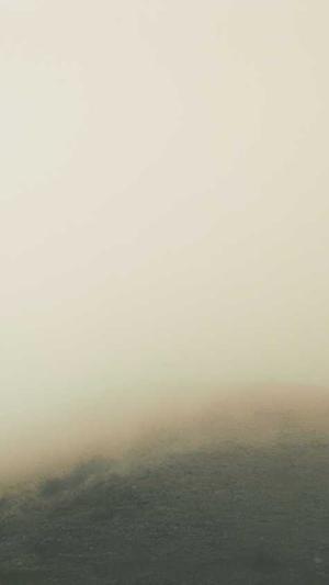 seo工具网址截图2