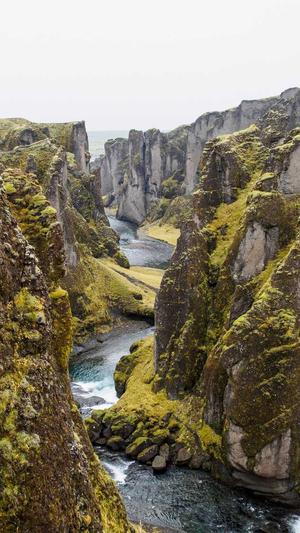 小霸王万能站群蜘蛛池截图5