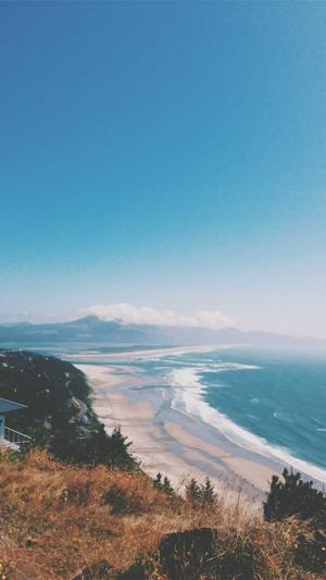 护肤品网站建设截图2